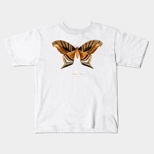 Moth - Aricia Pluto Kids T-Shirt